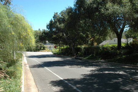 Enlarge photo 48