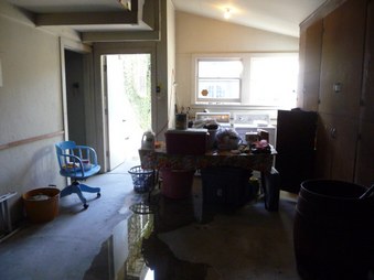 Enlarge photo 53