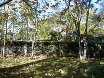 Enlarge photo 64