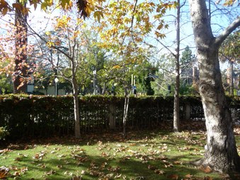 Enlarge photo 65