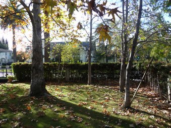 Enlarge photo 66