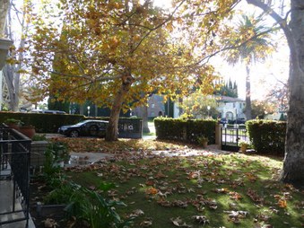 Enlarge photo 67