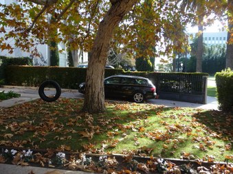 Enlarge photo 68