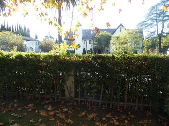 Enlarge photo 69