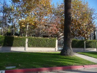 Enlarge photo 71