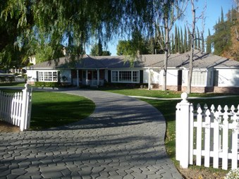 Luchs House