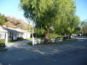 Enlarge photo 38