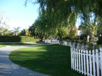 Enlarge photo 41