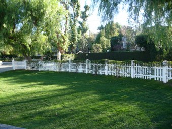 Enlarge photo 42