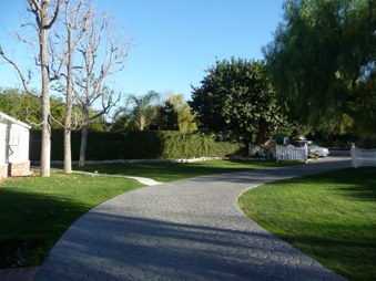 Enlarge photo 43