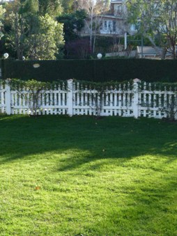 Enlarge photo 44