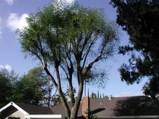 Enlarge photo 40
