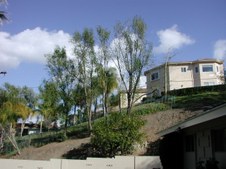 Enlarge photo 47