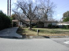Enlarge photo 33