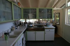 Enlarge photo 16