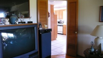 Enlarge photo 51