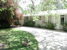 Enlarge photo 33