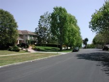 Enlarge photo 42