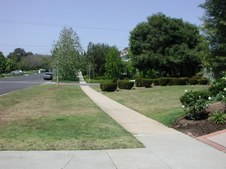 Enlarge photo 45