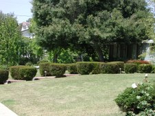 Enlarge photo 48