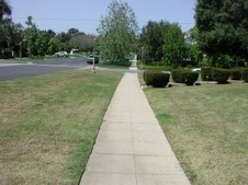 Enlarge photo 50