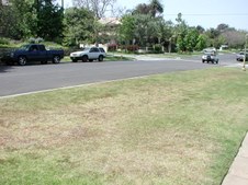 Enlarge photo 49