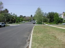 Enlarge photo 54