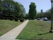 Enlarge photo 59