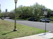 Enlarge photo 60