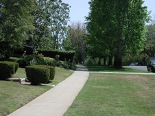 Enlarge photo 62
