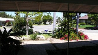 Enlarge photo 10