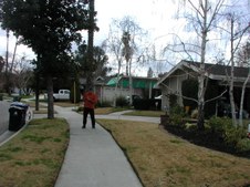 Enlarge photo 33