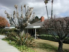 Enlarge photo 37