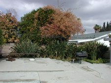 Enlarge photo 39