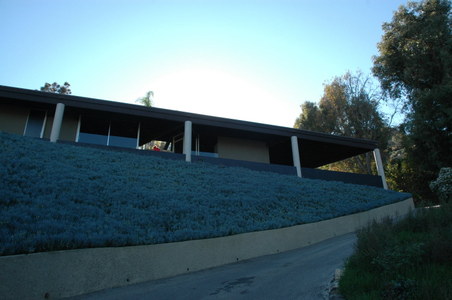 Haddawy House