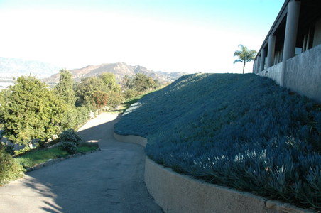 Enlarge photo 78