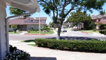 Enlarge photo 17