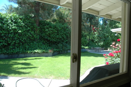 Enlarge photo 41