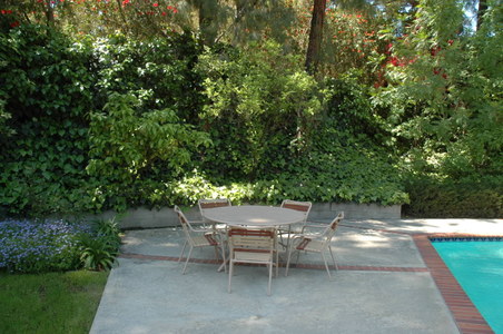 Enlarge photo 45