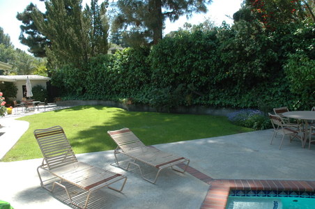 Enlarge photo 56