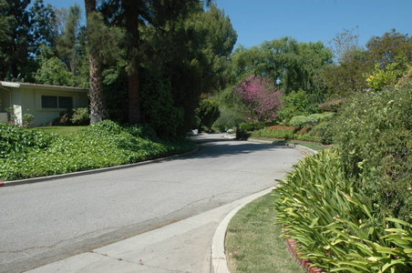 Enlarge photo 61