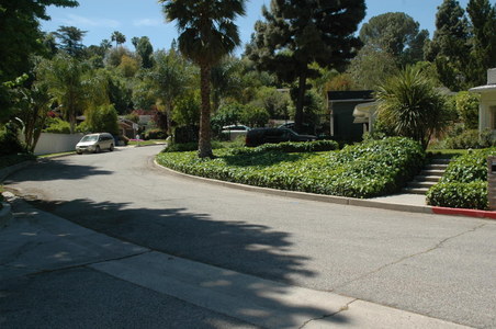 Enlarge photo 63