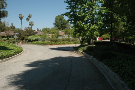 Enlarge photo 65