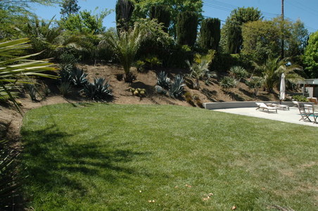 Enlarge photo 57