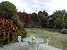Enlarge photo 31