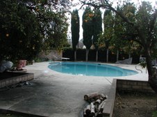 Enlarge photo 35