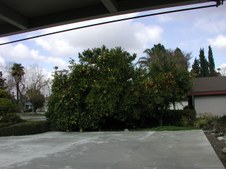 Enlarge photo 43