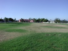 Norman O Houston Park