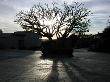 Enlarge photo 18