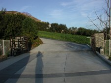 Enlarge photo 25